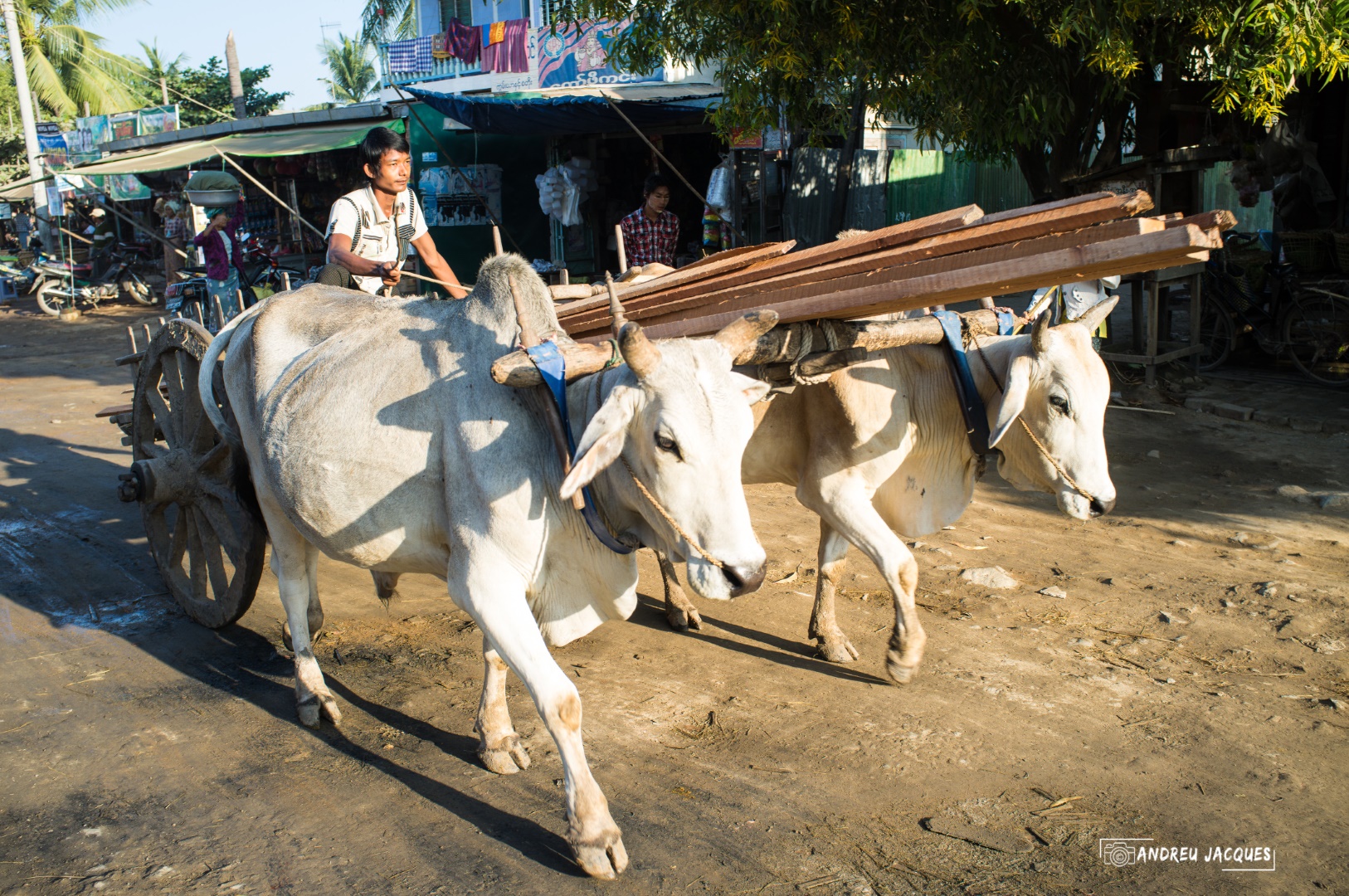 birmanie-158 (Grand).jpg